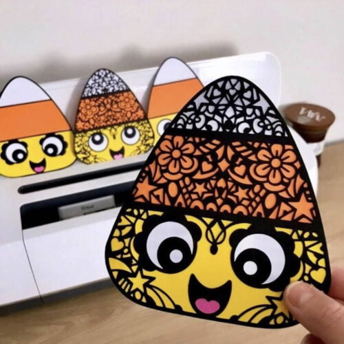 The Complete Bundle photo review